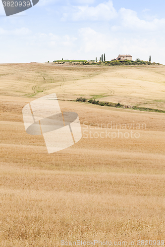 Image of Countryside in Tuscany