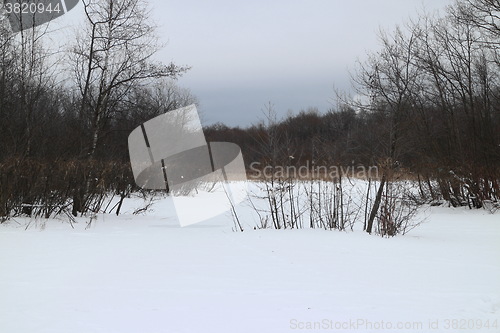 Image of  swamp winter landscape