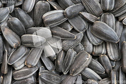 Image of  bunch of sunflower seeds