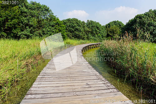 Image of Small bridge through a river 