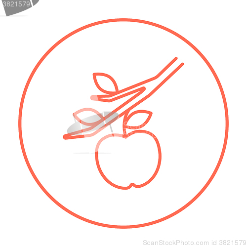 Image of Apple harvest line icon.
