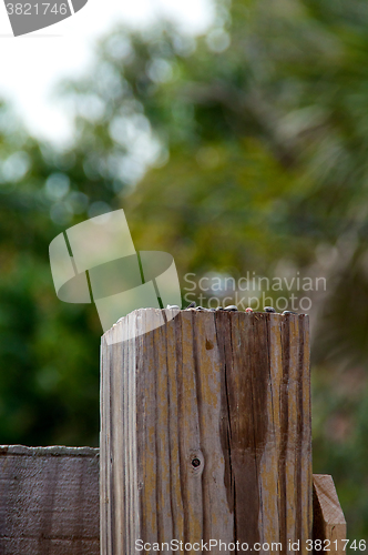 Image of fence post top