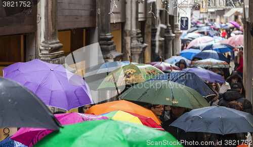 Image of Crowd of Umbrellas in Venice