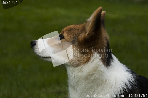 Image of 