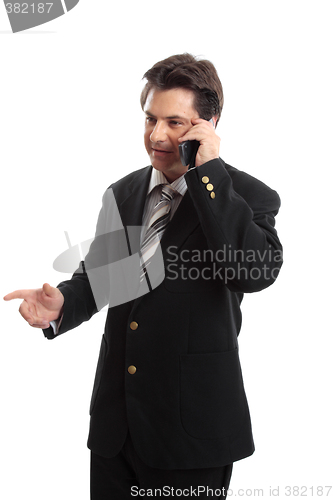 Image of Business executive on the phone