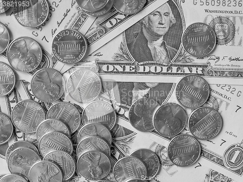 Image of Black and white Dollar coins and notes