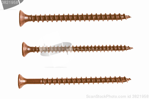 Image of  Wood screw isolated vintage