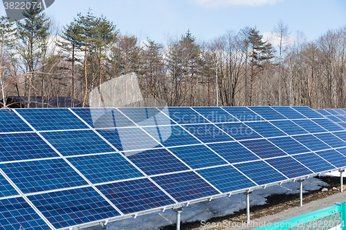 Image of Solar panel in forest
