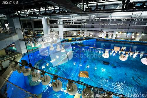 Image of Aquarium water tank