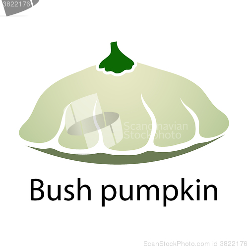 Image of Bush pumpkin icon