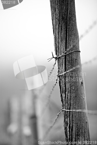 Image of barbed wire fence post