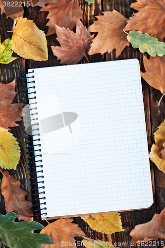 Image of autumn background