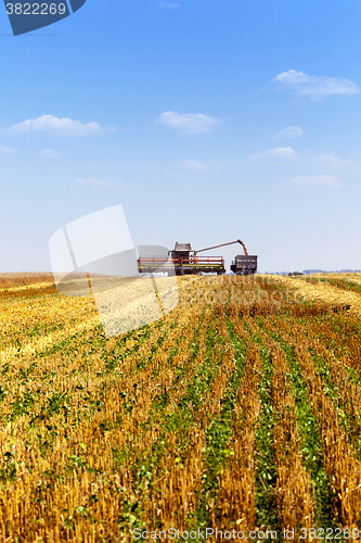 Image of  agricultural field   cleaning