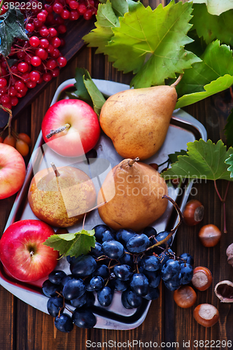 Image of autumn fruits 