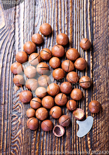 Image of macadamia