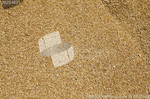 Image of wheat grains ,  harvesting