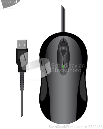 Image of Mouse Computer USB connection