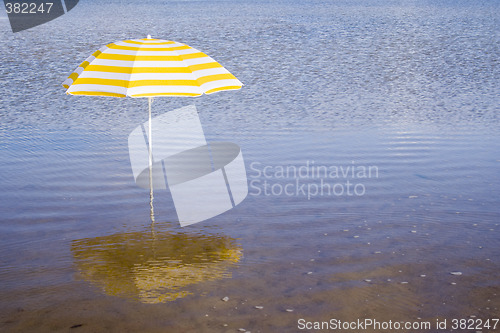 Image of yellow umbrella