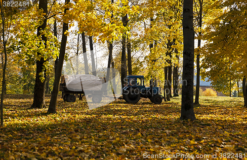 Image of cleaning of foliage in park  