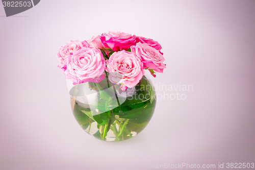 Image of The beautiful pink rose flowers in a vase 