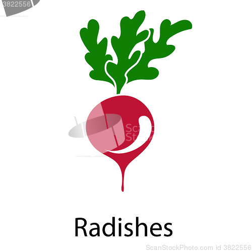 Image of Radishes icon