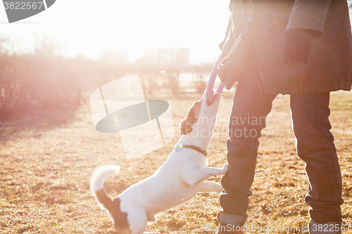 Image of Woman playing with dog