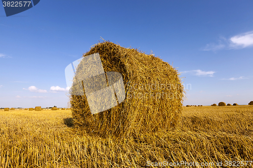 Image of Stack of straw  