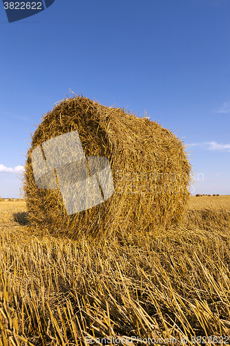 Image of  after harvesting cereal