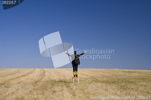 Image of Looking high to embrace nature