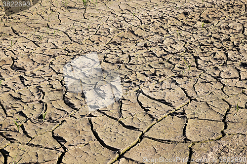 Image of cracked earth field 