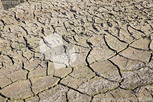 Image of cracked earth in the field    