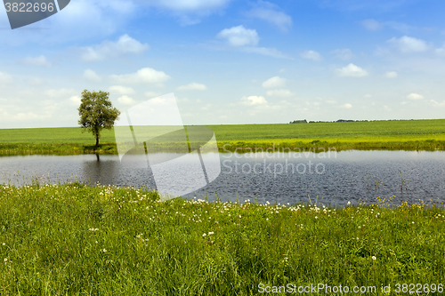 Image of small lake, spring 