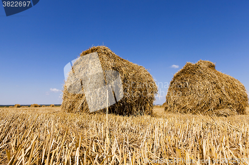 Image of haystacks straw, clcoseup