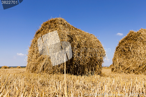 Image of two bales of hay  