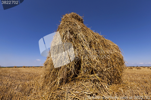 Image of stack of straw in the field  