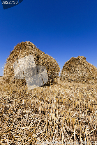 Image of stack of straw in the field  