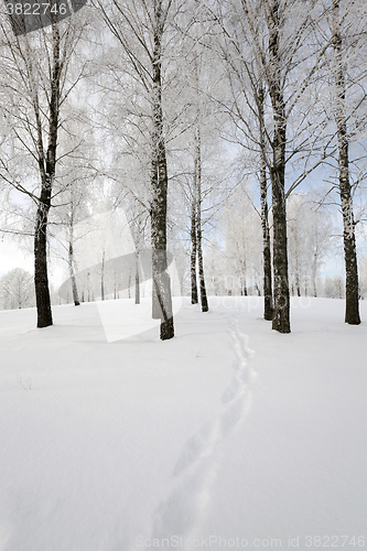 Image of the winter road  