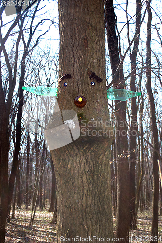 Image of ade by face on the tree