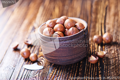 Image of macadamia