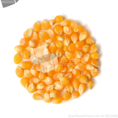 Image of corn grains close up