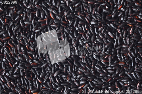 Image of Uncooked Black Rice