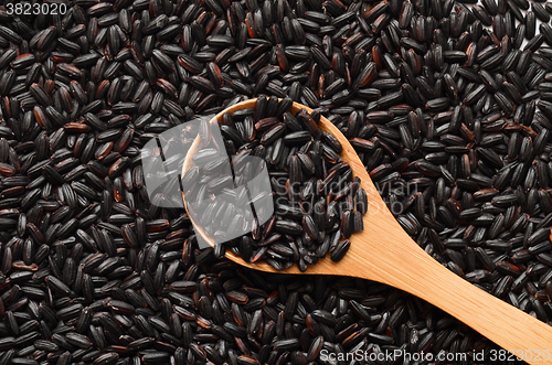Image of Uncooked Black Rice
