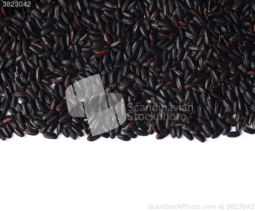 Image of Uncooked Black Rice