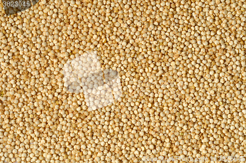 Image of white quinoa seeds