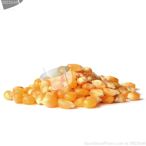 Image of corn grains close up