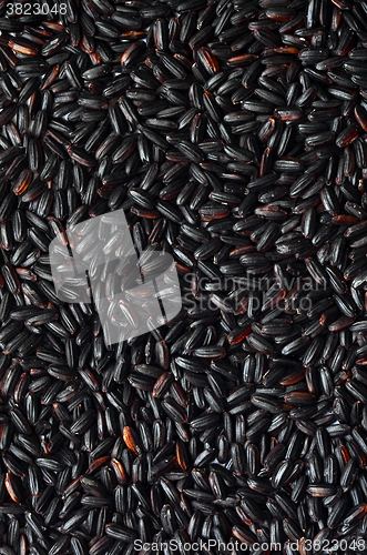 Image of Uncooked Black Rice