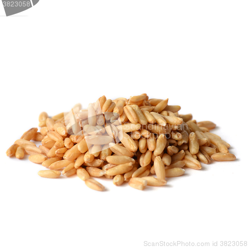 Image of whole oat seeds