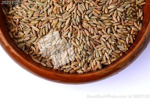 Image of rye grain seeds
