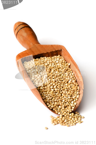 Image of white quinoa seeds