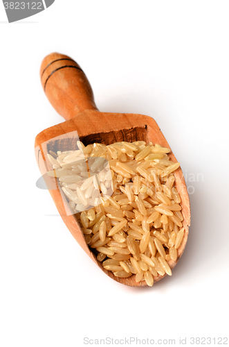 Image of brown rice uncooked